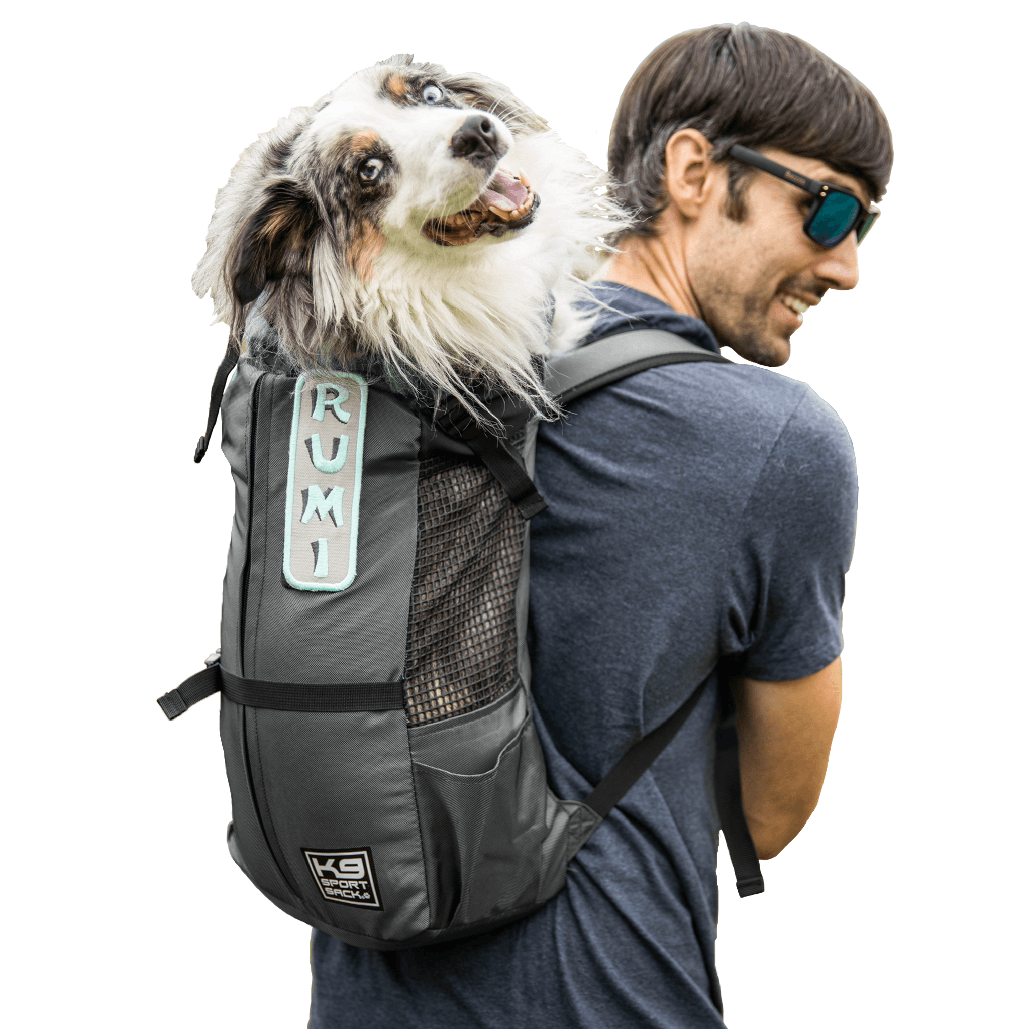 K9 Sport Sack - K9 Sport Sack® Trainer: Small (13"-17" from collar to tail) / Iron Gate